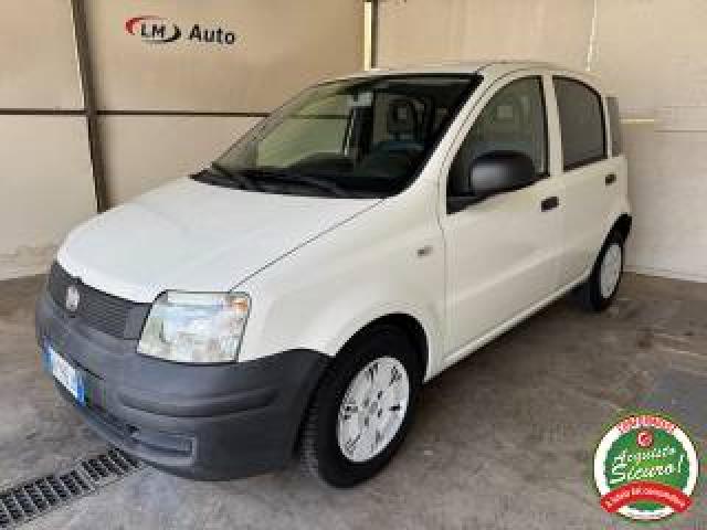Fiat Panda 1.2 Dynamic Neopatentati 