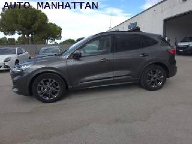 Ford Kuga 2.0 Ecoblue 120 Cv Aut. 2wd St-Line 