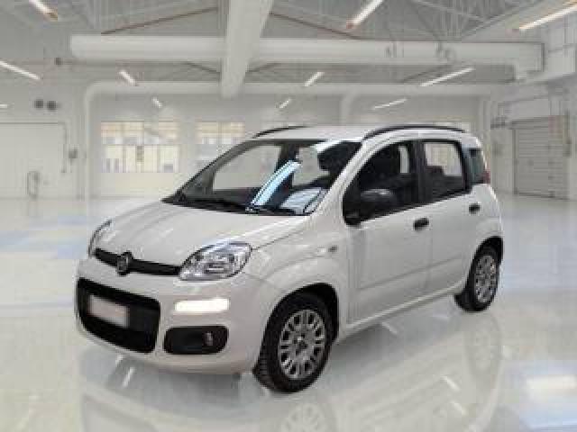 Fiat Panda 1.2 Easypower Gpl Easy 