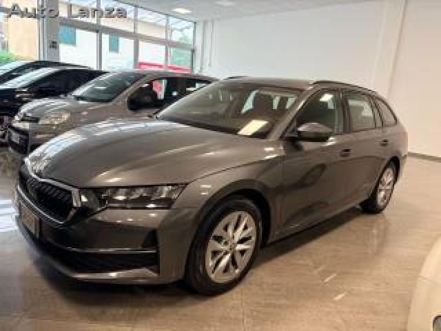 Skoda Octavia 2.0 Tdi 150 Cv Dsg Wagon Executive 