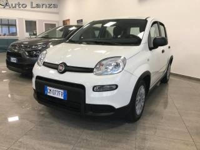 Fiat Panda 1.0 Firefly S&s Hybrid  Prezzo Reale 