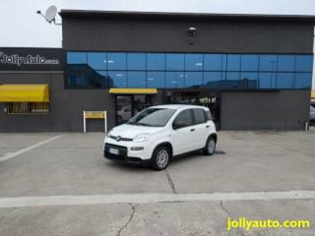 Fiat Panda 1.0 Firefly S&s Hybrid Pack Comfort Plus 