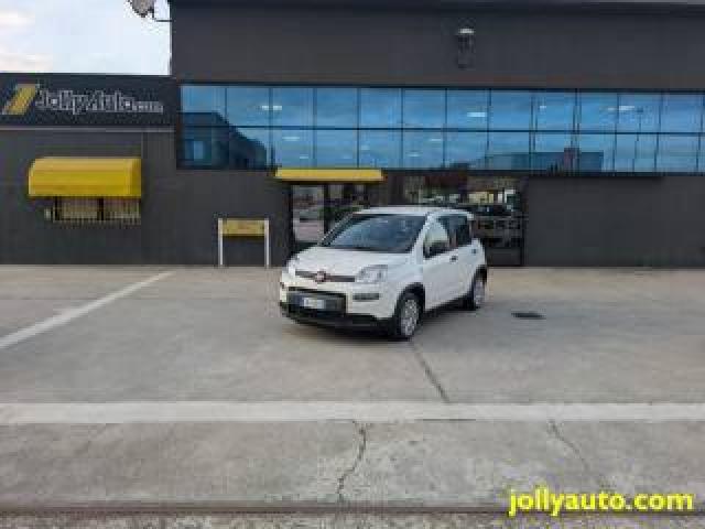 Fiat Panda 1.0 Firefly S&s Hybrid 70cv - Ok Neopatentati  