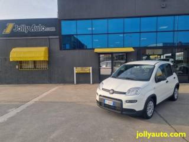 Fiat Panda 1.0 Firefly S&s Hybrid - Ok Neopatentati 