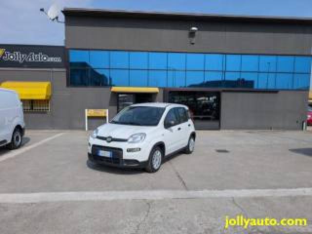 Fiat Panda 1.0 Firefly S&s Hybrid 70cv -Ok Neopatentati  