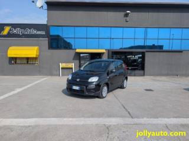 Fiat Panda 1.0 Firefly S&s Hybrid 70cv -Ok Neopatentati  