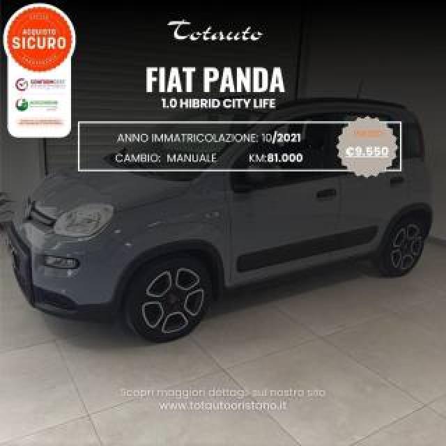 Fiat Panda 1.0 Firefly S&s Hybrid City Life 