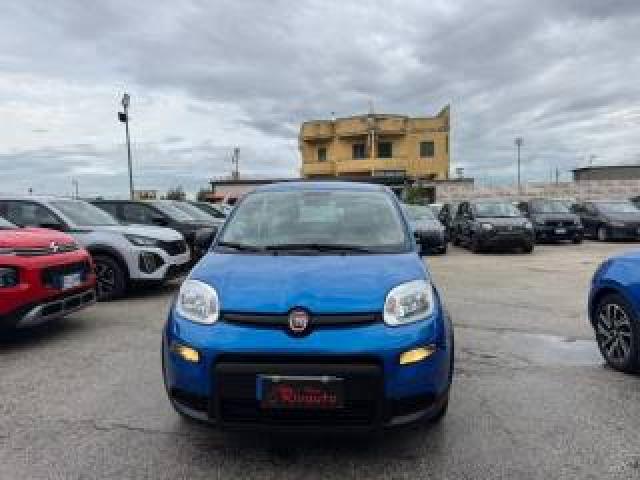 Fiat Panda 1.0 Firefly S&s Hybrid Km 0 
