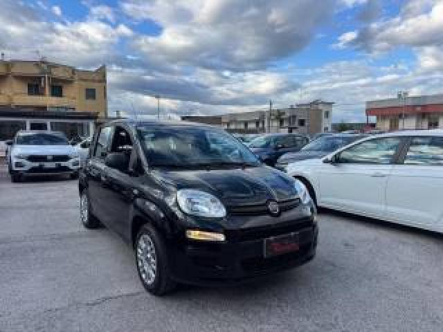 Fiat Panda 1.0 Firefly S&s Hybrid Easy 
