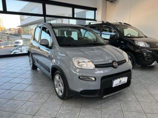 Fiat Panda 1.0 Firefly S&s Hybrid City Life - Uniprop,ruotino 