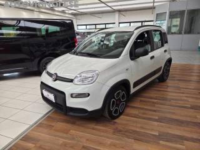 Fiat Panda 1.0 Firefly S&s Hybrid City Life 5 Posti-47.000 Km 