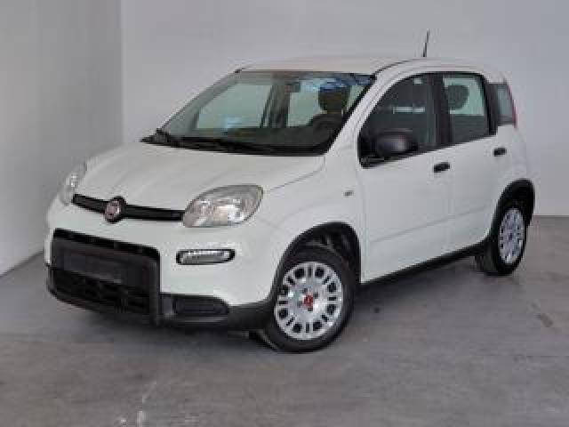 Fiat Panda 1.0 Firefly Hybrid City 5 Posti Sensori Post. 
