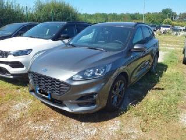 Ford Kuga 2.0 Ecoblue 120 Cv Aut. 2wd St-Line Iva Esposta 