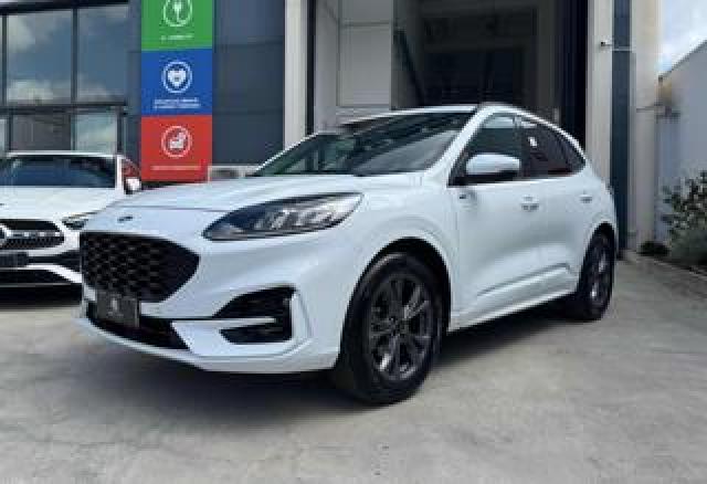 Ford Kuga 2.0 Ecoblue 120 Cv Aut. 2wd St-Line 