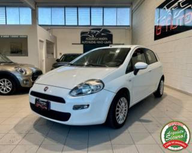 Fiat Punto 1.2 8v 5p. Street *neopatentati*distribuzione Ok* 