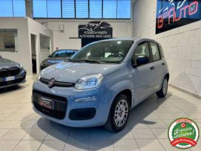 Fiat Panda 1.2 Easypower Easy *neopat*unipro*no Vincoli* 