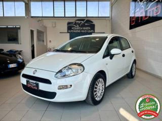 Fiat Punto 1.2 8v 5p. Pop *neopatentati* 
