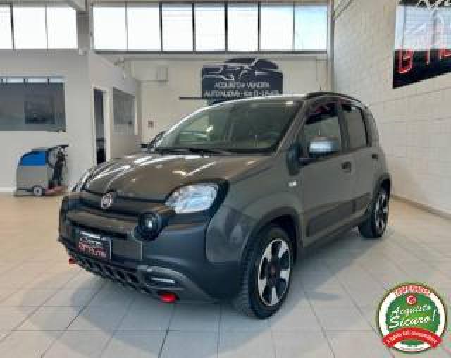 Fiat Panda 1.0 Firefly S&s Hybrid Citycross *carplay/android* 
