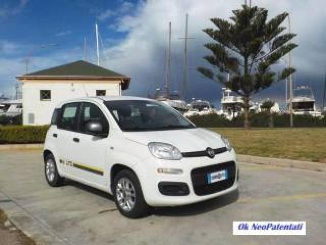 Fiat Panda 1.2 Young 