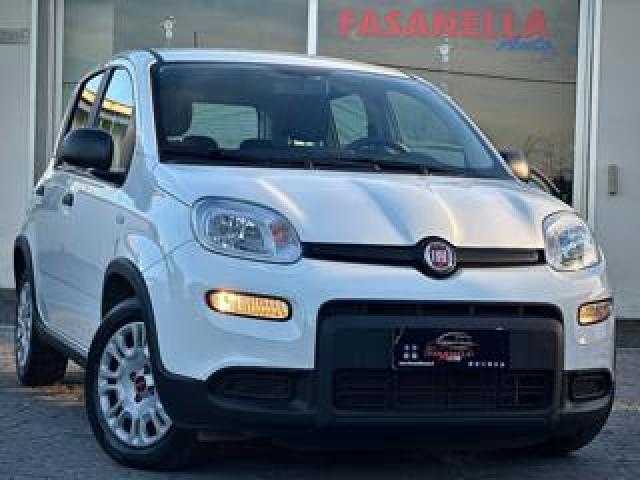 Fiat Panda 1.0 Firefly S&s Hybrid - No Vincoli Finanziari 