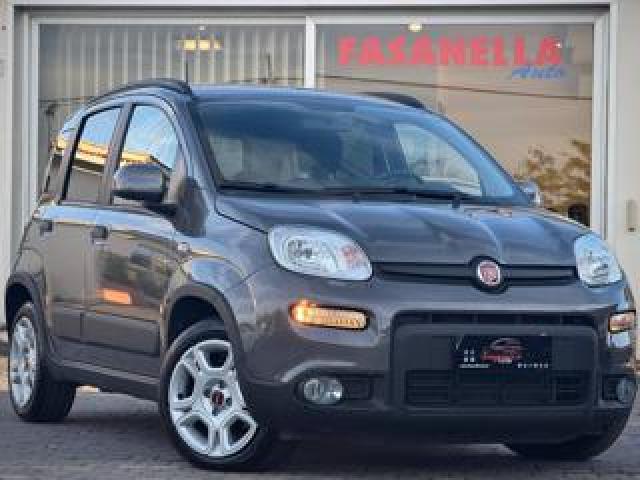 Fiat Panda 1.0 Firefly S&s Hybrid City Life - Iva Esposta 
