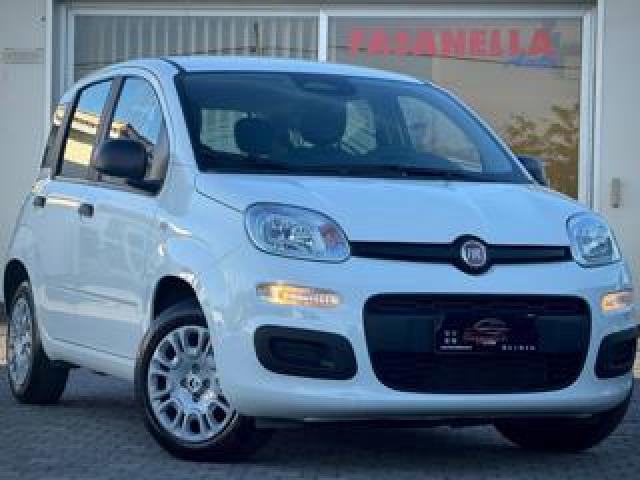 Fiat Panda 1.0 Firefly S&s Hybrid Pandina - Iva Esposta 