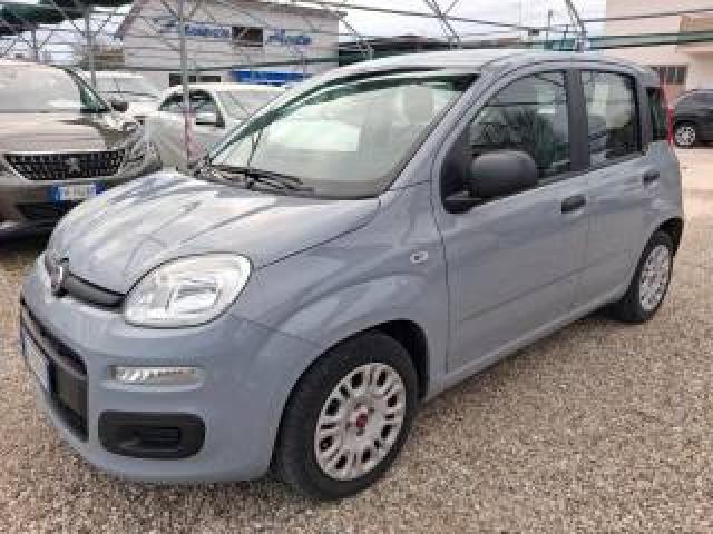 Fiat Panda 1.0 Firefly S&s Hybrid Easy 