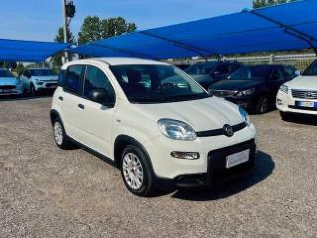 Fiat Panda 1.0 Firefly S&s Hybrid Solo 21000 Km 