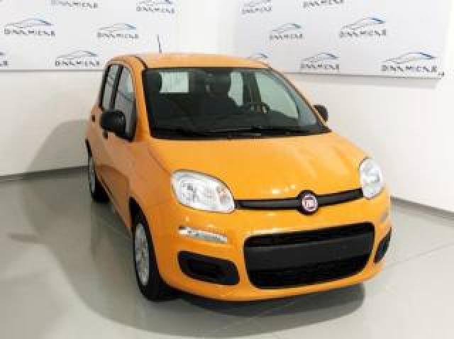 Fiat Panda 1.0 Firefly S&s Hybrid Easy 