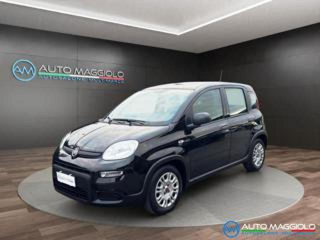 Fiat Panda 1.0 Firefly S&s Hybrid 70 Cv Prezzo Reale 
