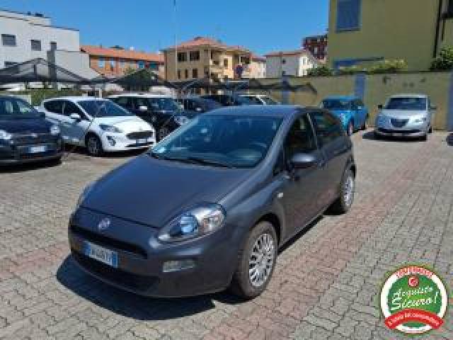 Fiat Punto 1.2 8v 5 Porte Young 