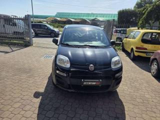 Fiat New Panda 
