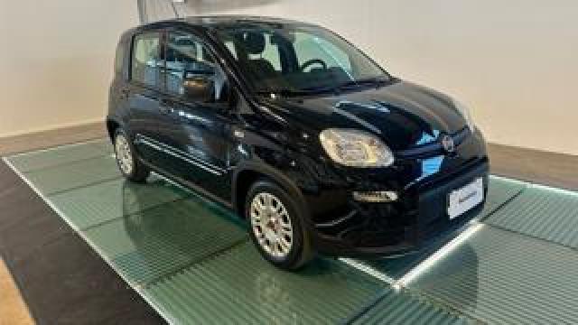 Fiat Panda 1.0 Firefly S&s Hybridcarplay-Sensori 