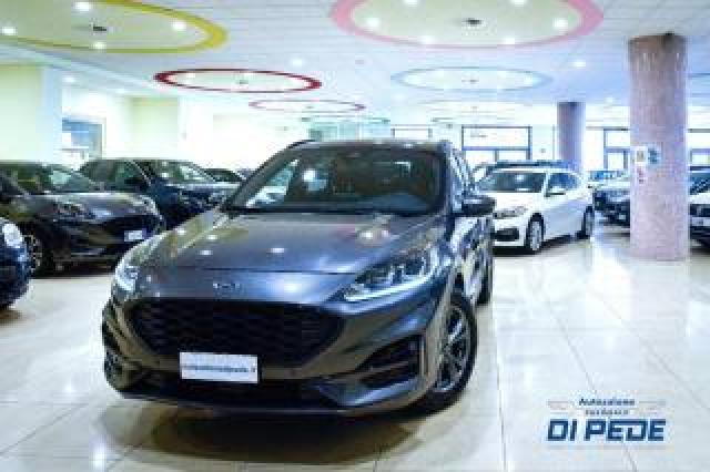 Ford Kuga 1.5 Ecoblue 120 Cv 2wd St-Line 
