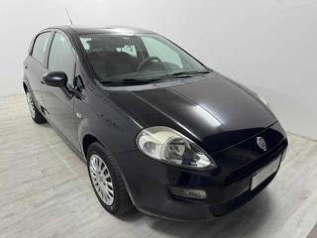 Fiat Punto 1.2 8v 5 Porte Lounge 