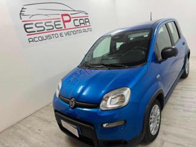Fiat Panda 1.0 Firefly S&s Hybrid 18.000km 