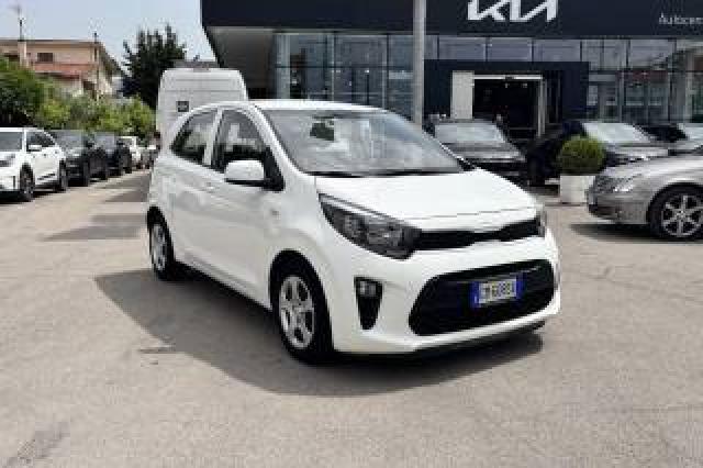 Kia Picanto 1.0 12v 5 Porte Urban 