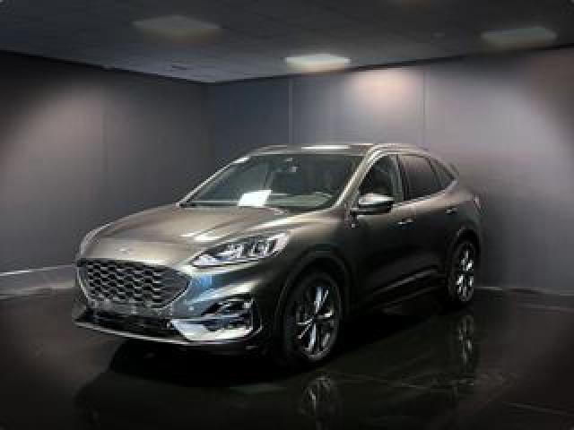 Ford Kuga 2.0 Ecoblue 120 Cv Aut. 2wd St-Line 