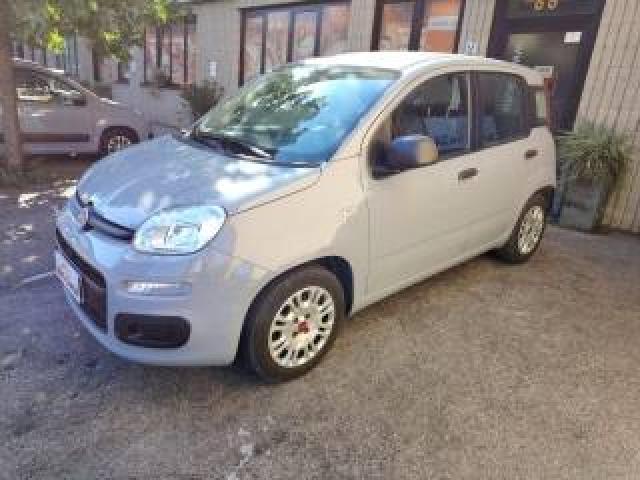 Fiat Panda 1.0 Firefly S&s Hybrid Neopatentati - Prezzo Reale 