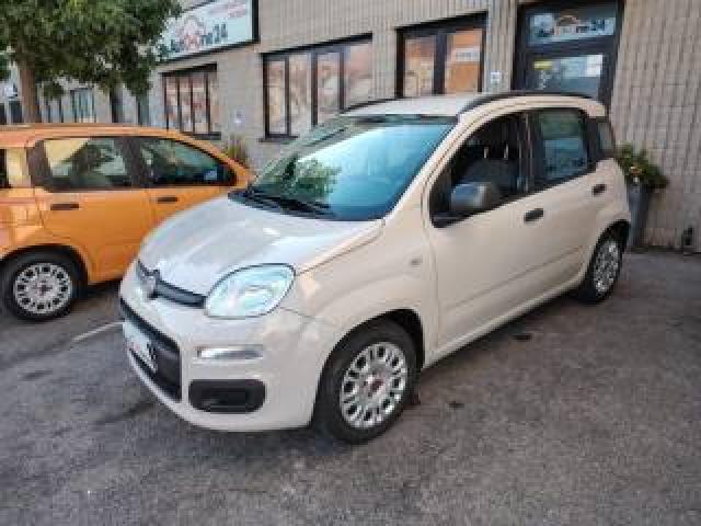 Fiat Panda 1.2 Easypower Easy Prezzo Reale - Neopatentati 