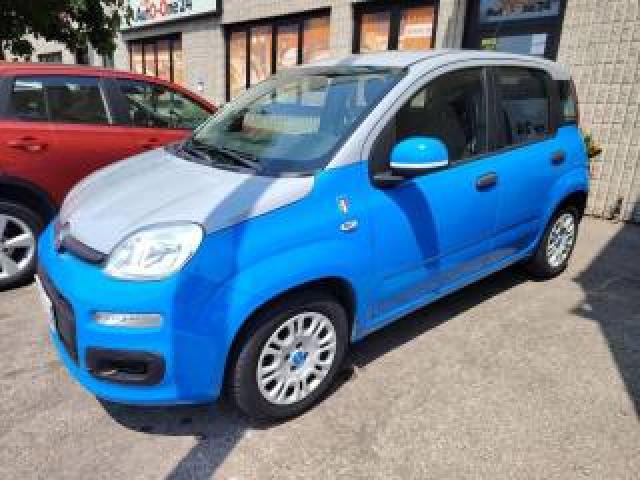 Fiat Panda 1.2 Pandazzurri Unica-Prezzo Reale-Finanziabile 