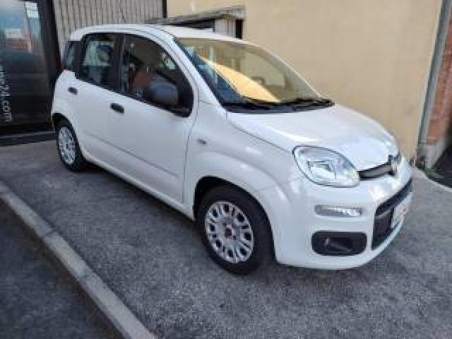 Fiat Panda 1.2 Pop 4 Cilindri-Euro6b-Prezzo Reale-Neopat. 