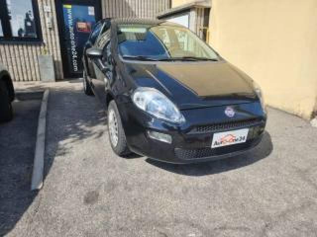 Fiat Punto 1.2 8v 5 Porte Street Neopatentati - Prezzo Reale  