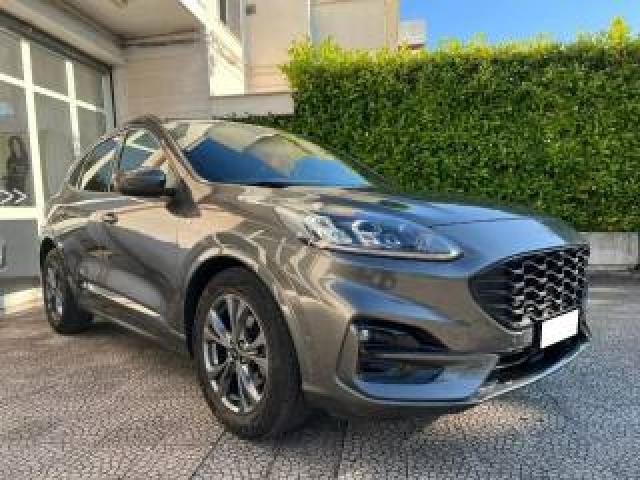 Ford Kuga 1.5 Ecoblue 120 Cv 2wd St-Line 