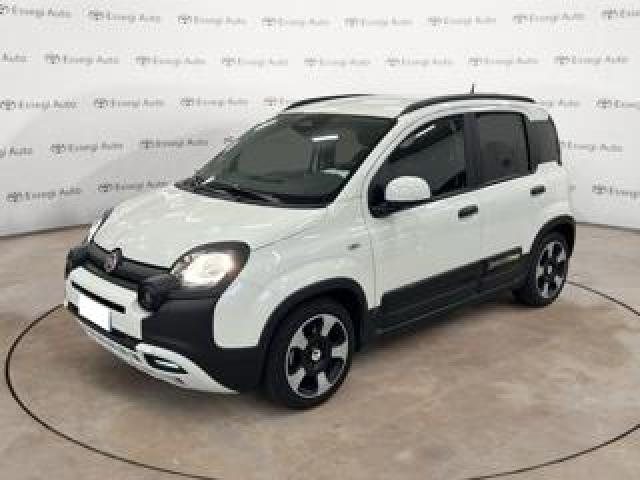 Fiat Panda Cross 1.0 Firefly S&s Hybrid 