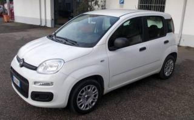 Fiat Panda 1.2 35.000 Km Easy Idonea Per Neopatentati 