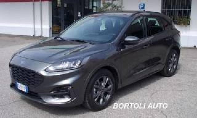Ford Kuga 2.0 Ecoblue 1.900 Km  Automatica St-Line Full Opt 