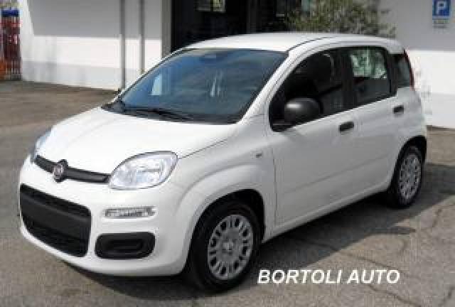 Fiat Panda Km Zero 1.0 Hybrid Vari Modelli  Disponibili  