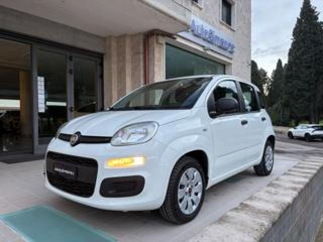 Fiat Panda 1.2 Pop Con Soli 22958 Km 