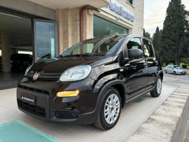 Fiat Panda 1.0 Firefly S&s Hybrid 5 Posti. 